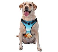 Beach Holidays Dog Harness for Small, Medium, and Large Dogs â€“ Reflective Straps, Adjustable Fit with Quick-Release Buckles