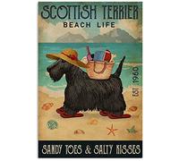 Beach Life Toes Scottish Terrier Poster Retro Home Gift Family Yard Garden Celebration Farm Courtyard Poster s Vintage Bar Pub Novelty Funny Metal Tin Signs Wall Decor 8x12 Inch