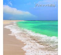 Beach of the pliocene
