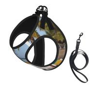 Beach Palm Tree Chairs Boats Print Step in Dog Harness and Leash Set,Adjustable Reflective Harness for Small Dogs Cats