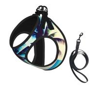 Beach Palm Trees 1 Print Step in Dog Harness and Leash Set,Adjustable Reflective Harness for Small Dogs Cats