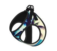 Beach Palm Trees 1 Print Step in Dog Harness and Leash Set,Adjustable Reflective Harness for Small Dogs Cats