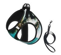 Beach Palm Trees Print Step in Dog Harness and Leash Set,Adjustable Reflective Harness for Small Dogs Cats