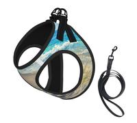 beach scene with chairs print Dog Harness and Leash Set, Reflective Adjustable Puppy Vest for Small Medium Large Dogs, Cats