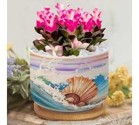 Beach Scene with Sea Life Ceramic Planters Ocean Themed Pattern Plant Live Indoor with Pot with Drainage Holes And Saucers Orchid Pot for Garden Home Decoration New Home Gift