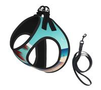 Beach Scenery print Dog Harness and Leash Set, Reflective Adjustable Puppy Vest for Small Medium Large Dogs, Cats