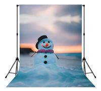 Beach Snowman Print Portable Photo Backdrop 5x7ft Background Drop For Photo Photoshoot Backdrop For Content Creator