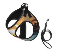Beach Sunrise print Dog Harness and Leash Set, Reflective Adjustable Puppy Vest for Small Medium Large Dogs, Cats