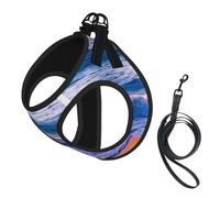 Beach Sunset Ocean Waves Print Harness Leash Set For Cat Dog, Reflective Adjustable Escape-Proof Vest Lead With Soft Breathable Mesh, For Small Pets And Kitten Puppy