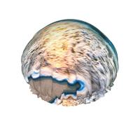 Beach Sunset Ocean Waves Printed Reusable Shower Hats, Double Layer Headgear For Spa And Salon, Large Hair Wrap