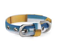 Beach Surfboard Dog Collar Adjustable Soft and Comfortable Puppy Collars with Metal Buckle Pet Collar for Small Medium Pet