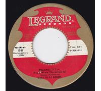 beaches, u.s.a. / do the bumpsie 45 rpm single