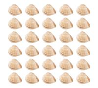 Beadthoven 100pcs Natural Shell White Large Scallop Seashell Beads Summer Ocean Beach Undrilled Sea Shell for Fish Tank Home Decoration Vase Fillers DIY Crafts