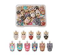 Beadthoven 33pcs Owl Enamel Charms Colorful Bird Animal Lucky Dangle Pendants for Jewelry Crafts Making Earrings Bracelets Necklace,11 Styles