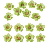 Beadthoven 8pcs Dry Flower Pendants 3D Natural Real Dried Floral Charms with Epoxy Resin for DIY Earrings Necklace Phone Charms Keychain Jewelry Making, Yellow Green