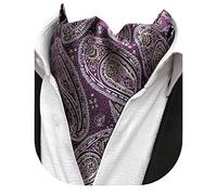Beaface Men's Cravats Self Tie, Cravat Ties for Men Paisley Floral Jacquard Woven Ascot Tie Wedding Business Party Casual (Purple Paisley)