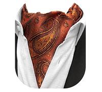 Beaface Men's Cravats Self Tie, Cravat Ties for Men Paisley Floral Jacquard Woven Ascot Tie Wedding Business Party Casual (Gold Paisley)