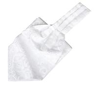 Beaface Men's Cravats Self Tie, Cravat Ties for Men Paisley Floral Jacquard Woven Ascot Tie Wedding Business Party Casual (White)