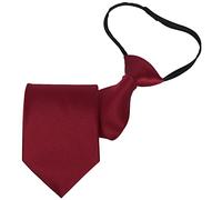 Beaface Men's Tie Zipper Ties for Men Pretied Neckties Adjustable Men Ties Business Wedding Formal Ties (Burgundy)