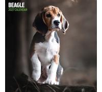 Beagle 2027 Traditional Calendar
