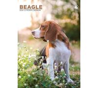 Beagle Dog 2026 Calendar, A3, Wirobound, Full Colour