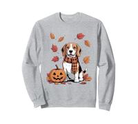 Beagle Dog Lover Pumpkin Fall Autumn Thanksgiving.png Sweatshirt