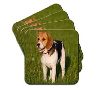 Beagle Dog Set of 4 Coasters