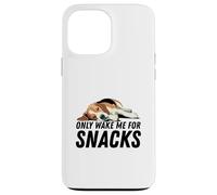 Beagle Dog Wake Me For Snacks Case for iPhone 13 Pro Max