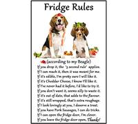 Beagle Hound Gift - Fridge Rules - Large Fun flexible Fridge Magnet- size 16cms x 10 cms (approx. 6" x4")