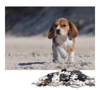 Beagle on The Beach Puzzles 1000 Pieces Wooden Puzzles for Adults & Teenager Learning Educational Toys 1000pcs (75x50cm)