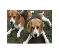 Beagle Puppies,500 Pieces Puzzles for Adults-Wooden Jigsaw Puzzle for Adults Elderly
