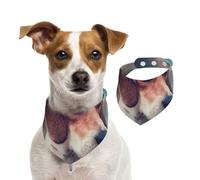 Beagle Puppy Dogs Pets Beagle,Dog Bandanas Cotton Pet Scarf Adjustable Bibs for Pet,L