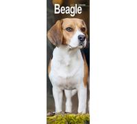 Beagle Slim