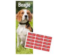 Beagle Slim Calendar 2026 | Dog Breed Slimline Calendar | 12 Month | January 2026 To December 2026 | With Free Organisational Stickers