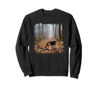 Beagle Tracking Forest Trail Fog Woodland Scene Sweatshirt