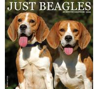 Beagles 2025 Wall