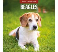 Beagles - 2026 Square Wall Calendar - by Red Robin Publishing