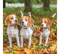 Beagles 2027 Square Flap by Browntrout (Calendar)