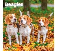 Beagles Calendar 2027, Wall Calendars, Month To View, Dogs, Gift