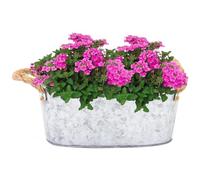 BEAHING Galvanized Planter Vintage Metal Planter with Rope Handles and Drainage Hole Oval Shaped Metal Flower Pots Succulents Herbs Pots Retro Plant Pot for Garden Decor
