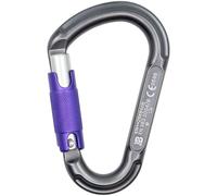Beal - Be Lock Screw - Screwgate carabiner grey