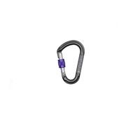 Beal - Be Lock Screw - Screwgate carabiner grey