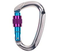 Beal - Be One Screw - Screwgate carabiner grey