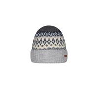 Beanie Barts Gregorys Gris TU