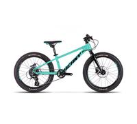 Beany Blaster XC 20 Mint Children’s Bike