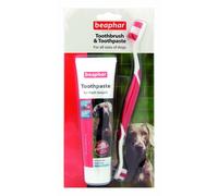 Beaphar - Toothbrush & Toothpaste Dental Care Kit - for Dogs & Cats - Includes a Double-Ended Toothbrush & Liver-Flavoured Enzymatic Toothpaste, 100g Tube