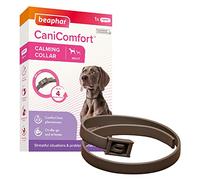 Beaphar | CaniComfort Calming Collar For Adult Dogs (up to 65cm)| Provides Ongoing Support To Anxious and Nervous Dogs | Starts to Work in 15 Minutes | Helps Ease Fear of Fireworks