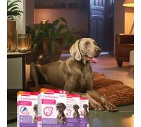 Beaphar CaniComfort Calming Diffuser Refill 45ML