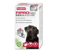 Beaphar - FIPROtec® COMBO for Large Dogs (20-40kg) - 3 pipettes - Kills Fleas, Flea Eggs, Flea Larvae & Ticks - Stops Fleas Multiplying on Pet and in Home - Vet Strength Dog Flea Treatment
