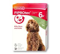 Beaphar - FIPROtec Spot-On Flea & Tick Treatment for Large Dogs 20-40kg - 6 Pipettes - Kills Fleas & Ticks - Veterinary Medicine - Easy to Apply Monthly - Suitable for Dogs & Puppies from 8 Weeks